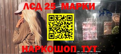 гидропоника Будённовск