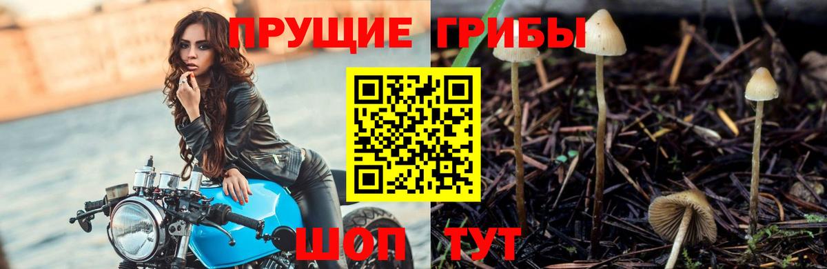 Галлюциногенные грибы мицелий Кудрово